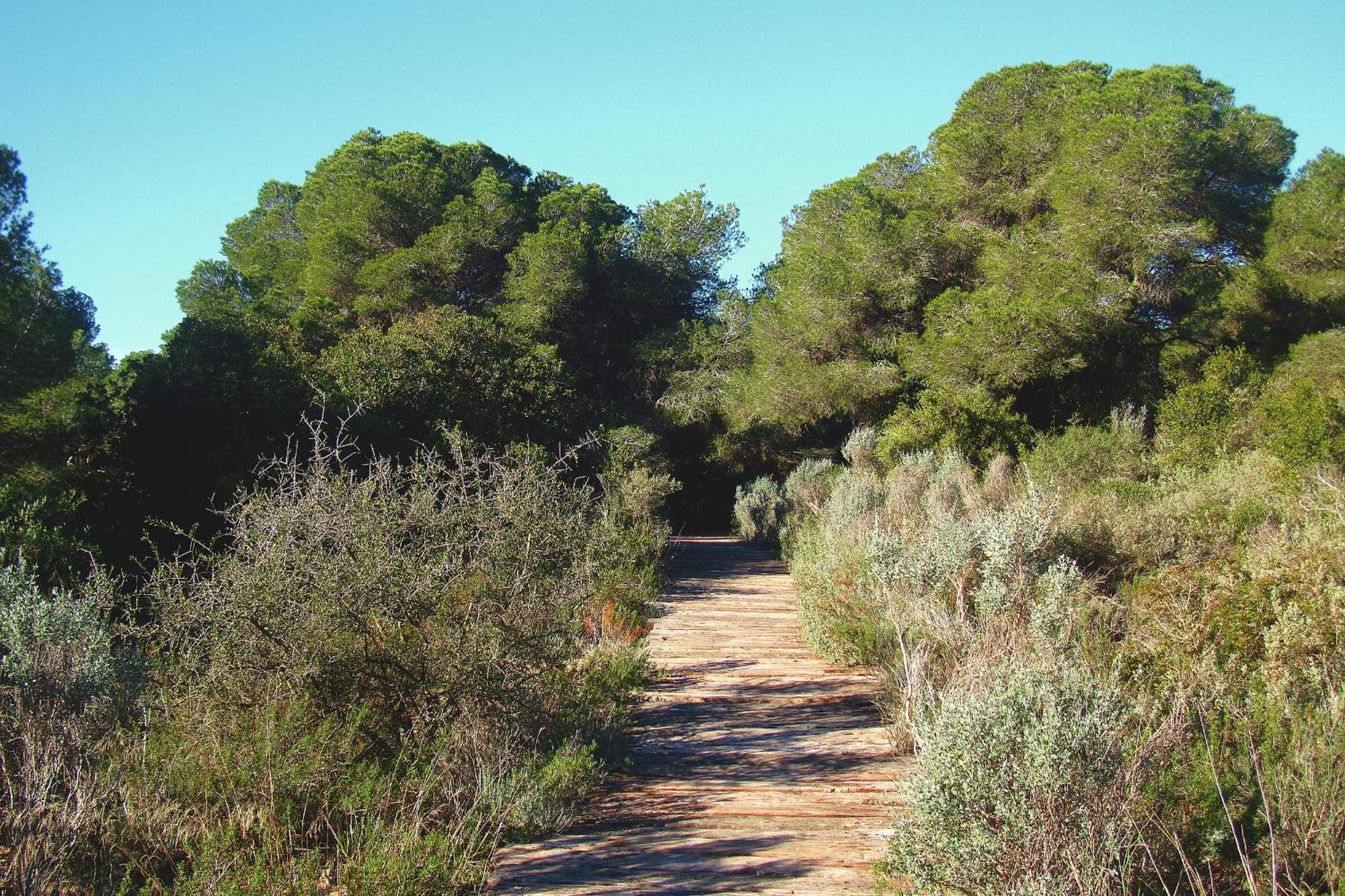 Albufera Dreams Nature Suites — Photos 2